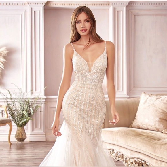 Cinderella Dresses & Skirts - NWT✨ SLEEVELESS MERMAID WEDDING DRESS EMBROIDERED WITH GLITTER & BEADS